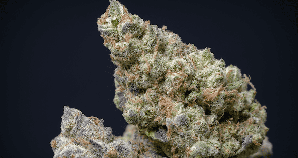 Strawberry Cough cannabis strain