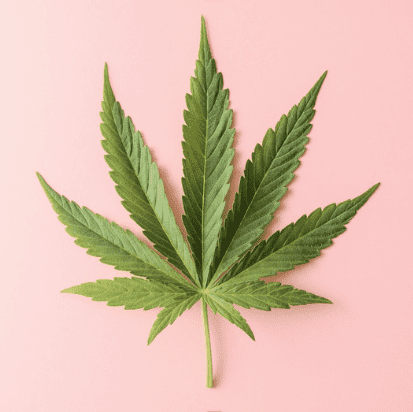 Cannabis can help some people fall asleep
