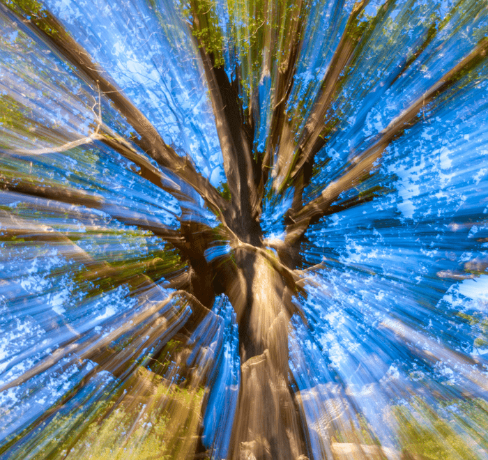 Psychedelics alter pathways in the brain