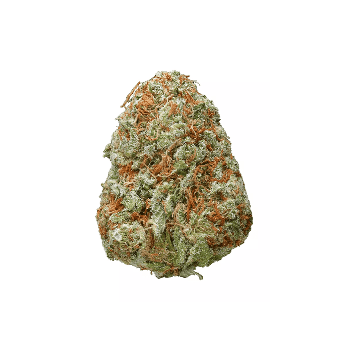 Hello3-min (30).png
